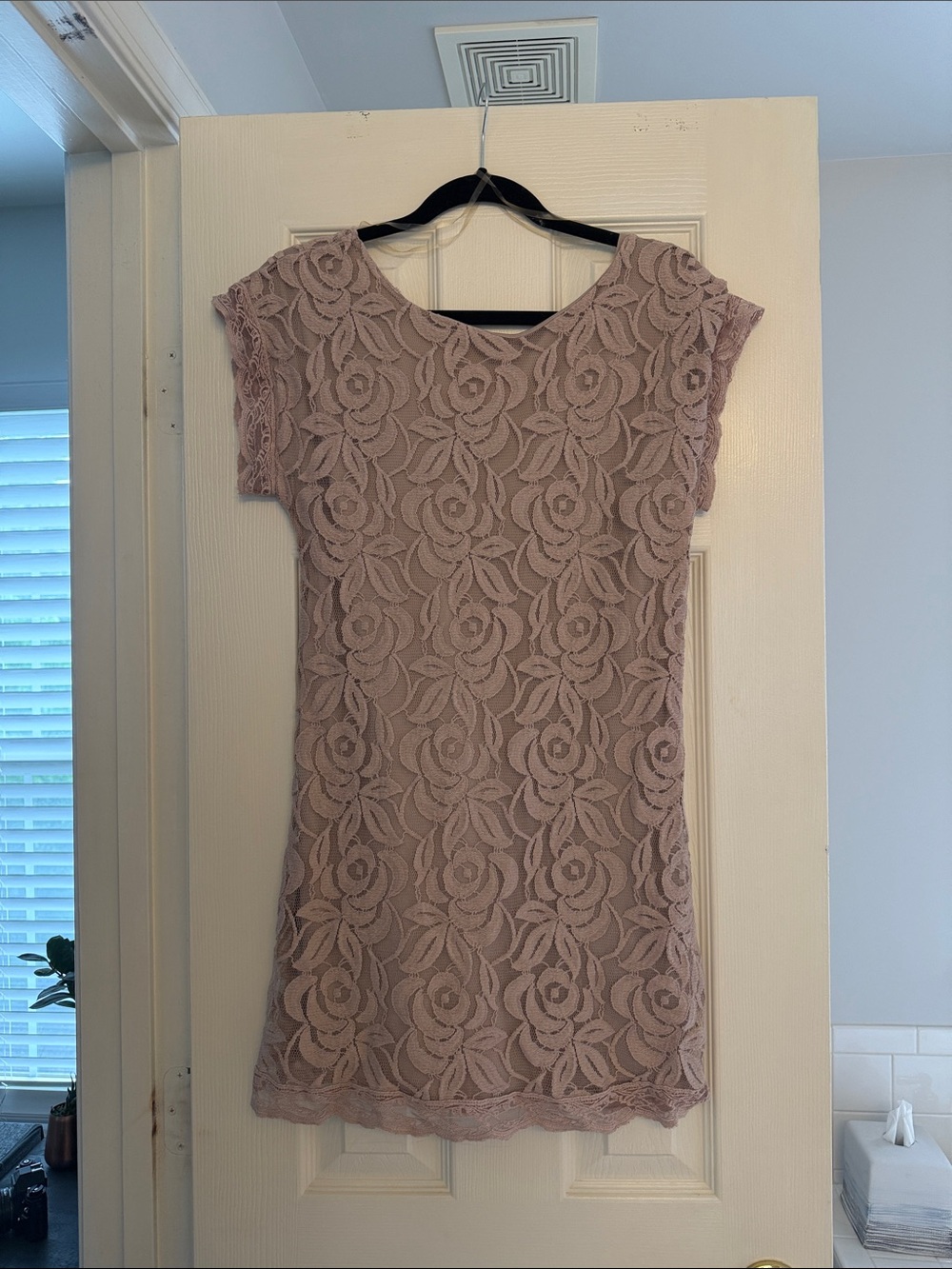 Fire Los Angeles Dusty Mauve Lace Cap Sleeve Mini Dress